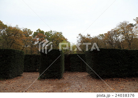 シュノンソー城迷路園 24038376