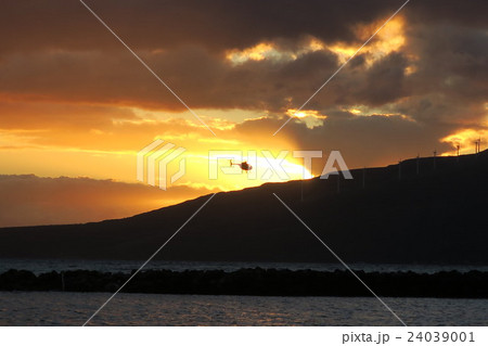 夕焼けと風車 24039001