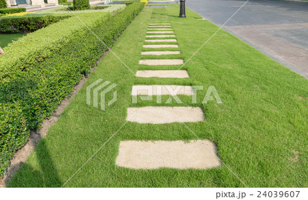 stone walkway on green grass in the garden stone walkway on green grass in the garden 24039607