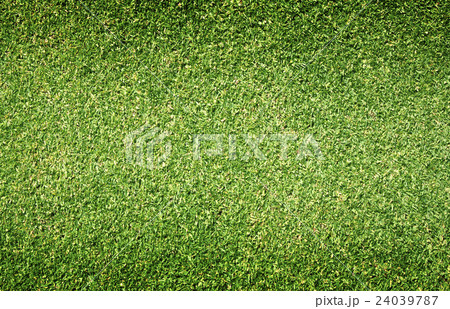 Golf Courses green lawn 24039787