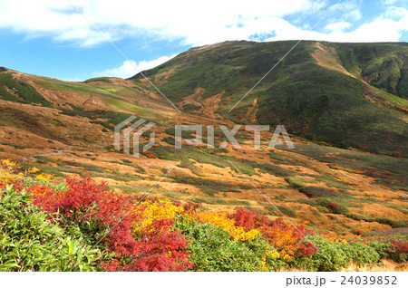 紅葉の月山 24039852