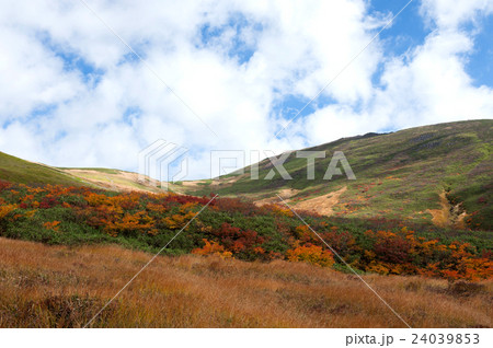 紅葉の月山 24039853