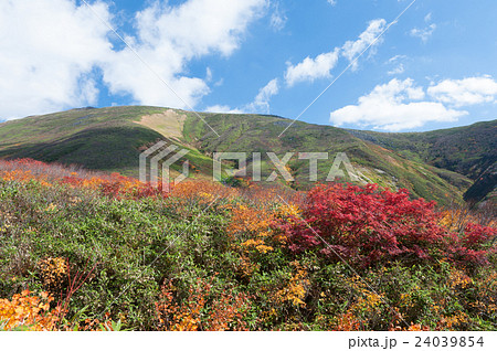 紅葉の月山 紅葉の月山 24039854