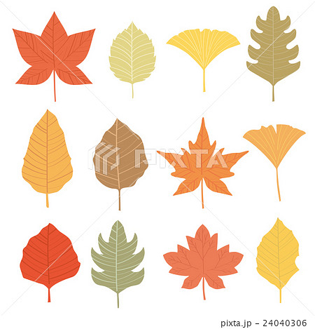 葉っぱのイラスト 葉っぱのイラスト 24040306