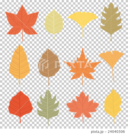 葉っぱのイラスト 葉っぱのイラスト 24040306