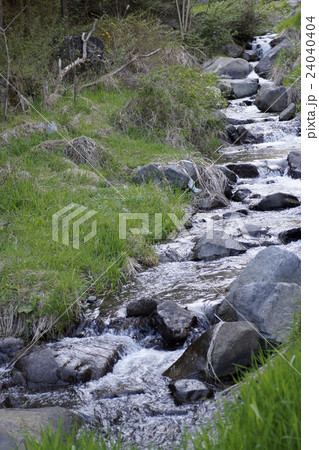 清流① 清流① 24040404
