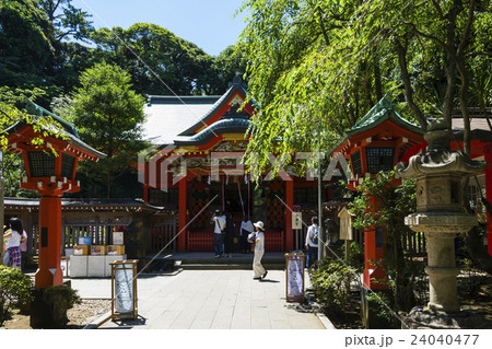 江ノ島江島神社 中津宮 江ノ島江島神社 中津宮 24040477