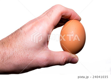 hand holds a chicken egg 24041035