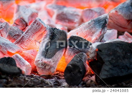burning wood burning wood 24041085