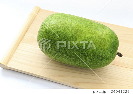 野菜 冬瓜 とうがん 野菜 冬瓜 とうがん 24041225
