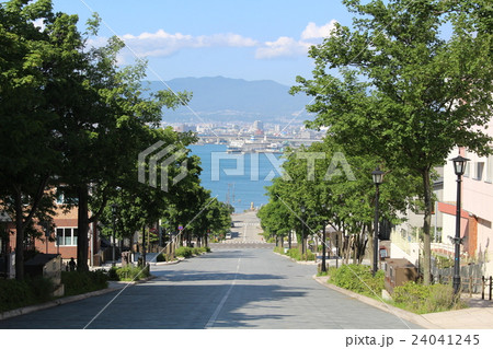 函館の名所　八幡坂　北海道 24041245