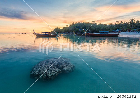 Sunset in Koh Lipe Island with coral foreground 24041382