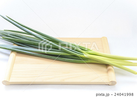 野菜 ねぎ 野菜 ねぎ 24041998