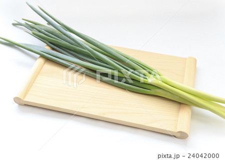 野菜　ねぎ 24042000