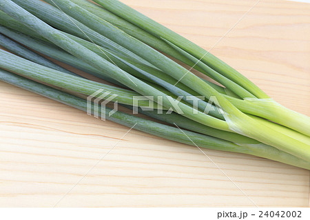 野菜 ねぎ 野菜 ねぎ 24042002