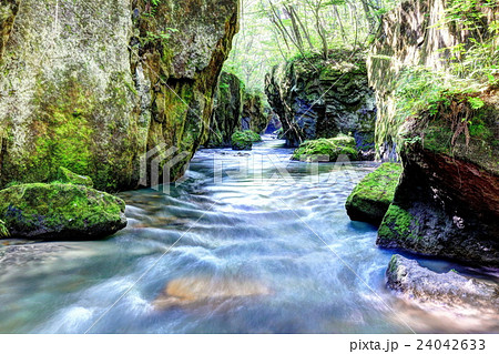 樽前ガロー 24042633