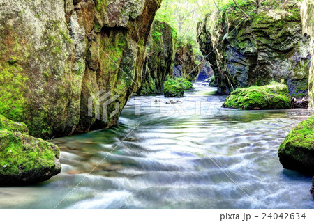 樽前ガロー 24042634