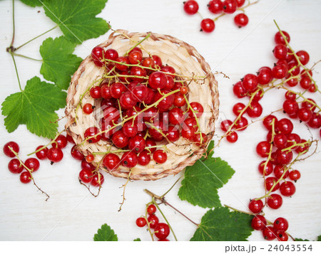 Fresh red currant 24043554
