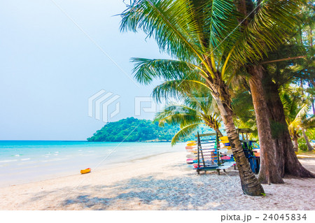 Sea and beach Sea and beach 24045834