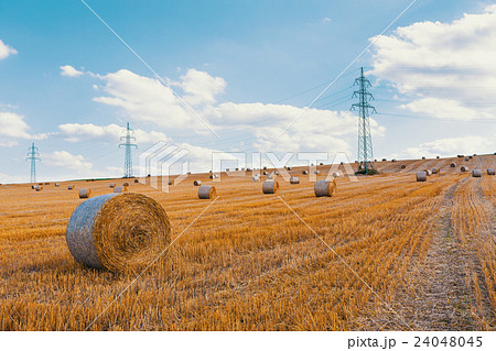 harvested field with straw bales in summer 24048045