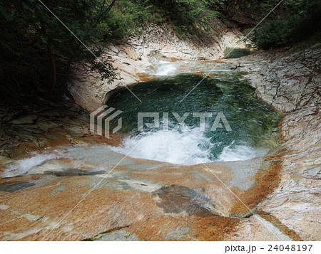 大蛇尾川 大蛇尾川 24048197