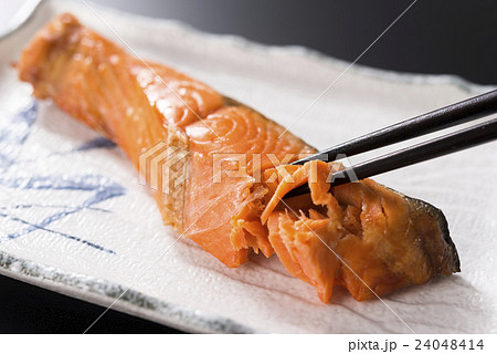 焼鮭 焼鮭 24048414