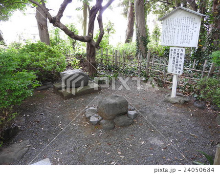 八幡神社の対面石 24050684