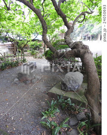 八幡神社の対面石 24050693