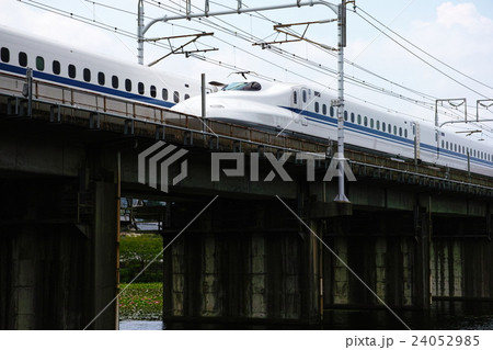 睡蓮と新幹線 睡蓮と新幹線 24052985
