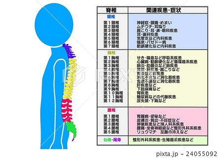 カイロプラクティック適応症状 24055092