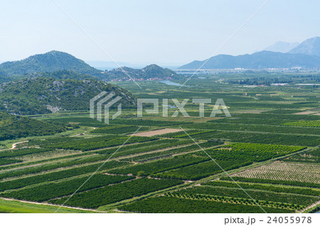 aerial view of beautiful Neretva valley in aerial view of beautiful Neretva valley in 24055978