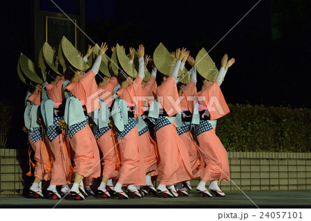 本場徳島阿波踊り　踊り込む 24057101