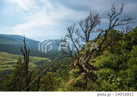 Scenic mountain landscape Scenic mountain landscape 24058931