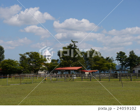 とうほくニュージーランド村 24059102