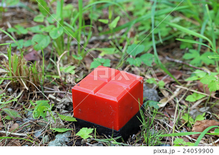 地境の杭 地境の杭 24059900