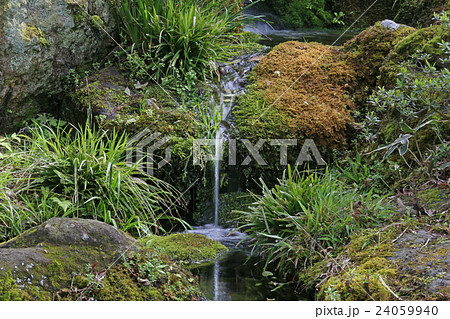 小滝 小滝 24059940
