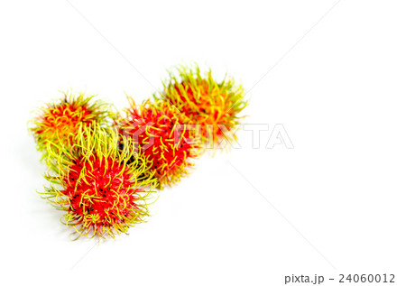 Fresh rambutan sweet fruit on white background Fresh rambutan sweet fruit on white background 24060012