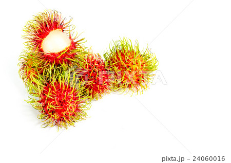 Fresh rambutan sweet fruit on white background Fresh rambutan sweet fruit on white background 24060016
