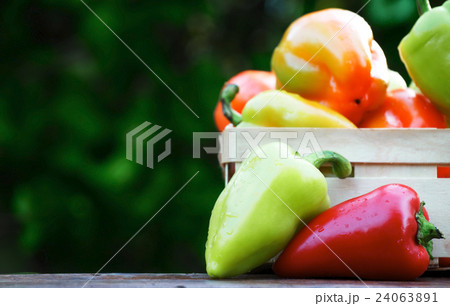 Sweet colorful bell peppers on rustic background Sweet colorful bell peppers on rustic background 24063891
