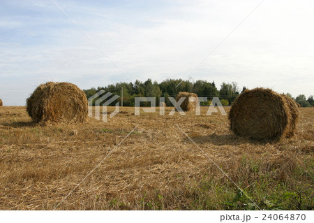 haystack on the field 24064870