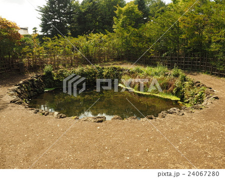 山梨県忍野村の忍野八海・銚子池という縁結びの池 24067280