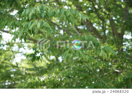 那須野が原公園 24068320