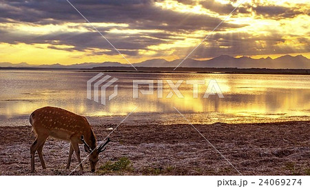 野付半島 (別海町) 野付半島 (別海町) 24069274