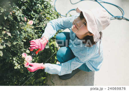 Japanese woman golfer , housewife 24069876