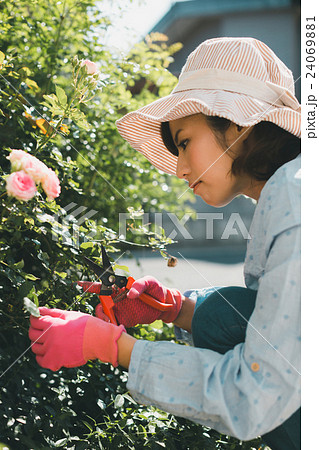 Japanese woman golfer , housewife 24069881