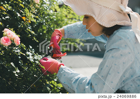 Japanese woman golfer , housewife 24069886