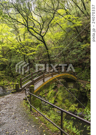 天安河原に向かう途中の橋 天安河原に向かう途中の橋 24070337