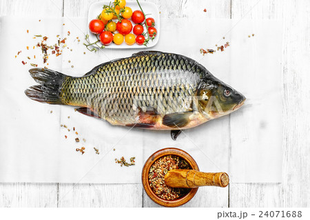 Cooking fresh carp Cooking fresh carp 24071688