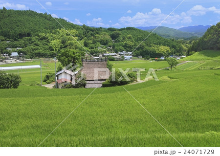 長谷の棚田の写真素材