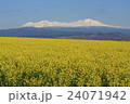 旭岳とキガラシ 24071942